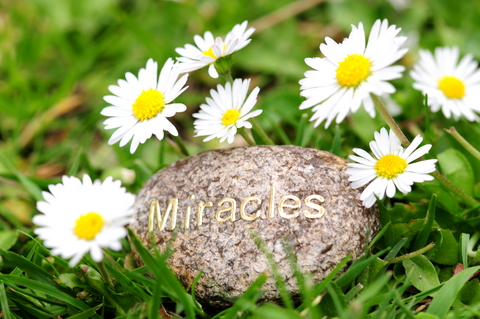Is Your Life A Miracle?