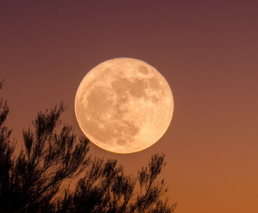 7 Things to Release this Full Moon